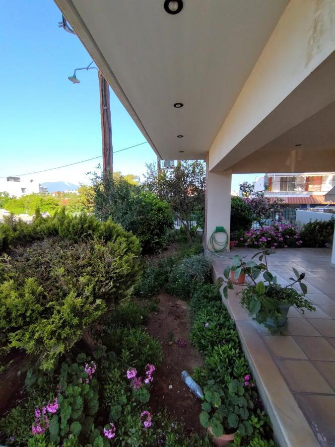 Pipi'S House Apartment นีอา อาร์เตกิ ภายนอก รูปภาพ